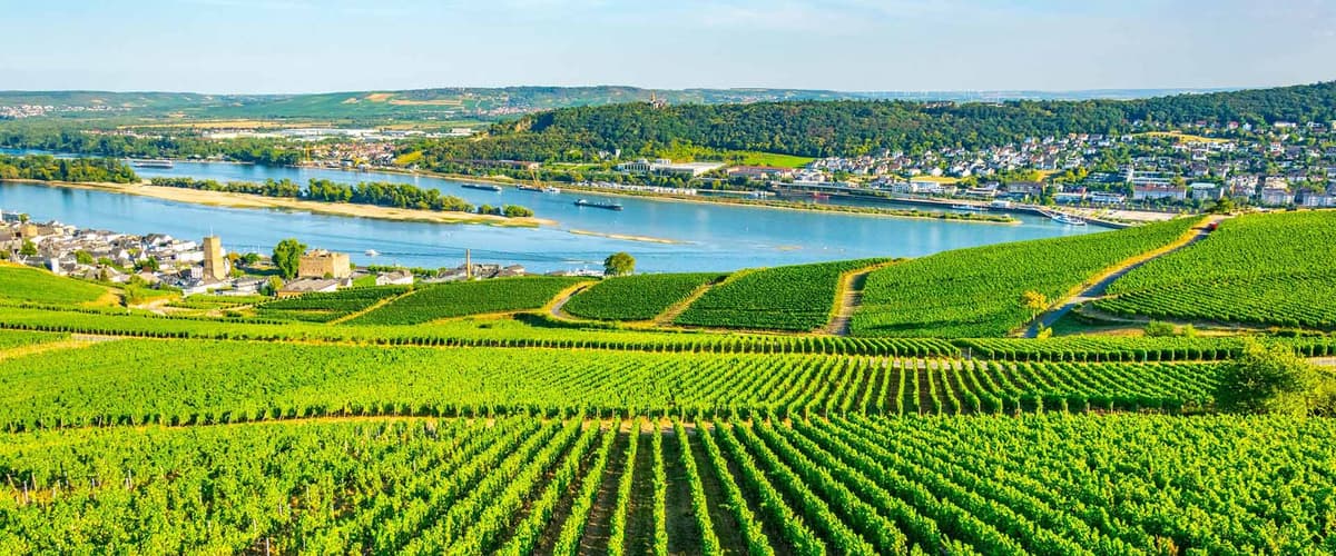 Romantic Rhine & Moselle with Amsterdam