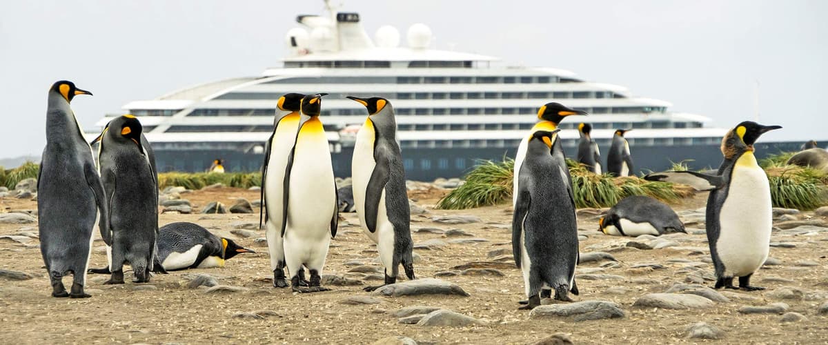 Ultimate Chilean Fjords, Glaciers & Antarctic Wildlife Explorer