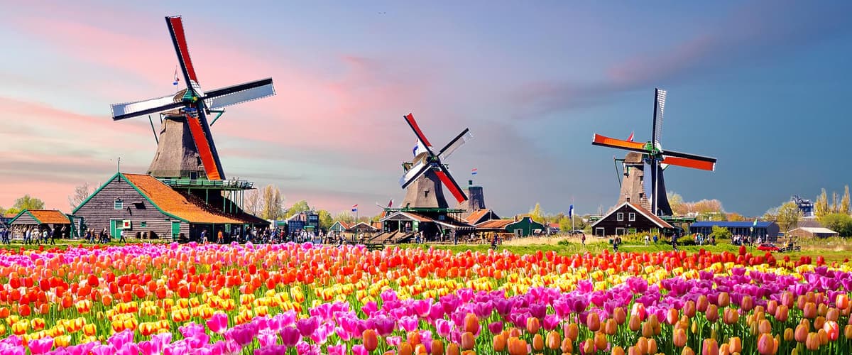 Rhine Highlights, Windmills, Tulips and Belgian Delights