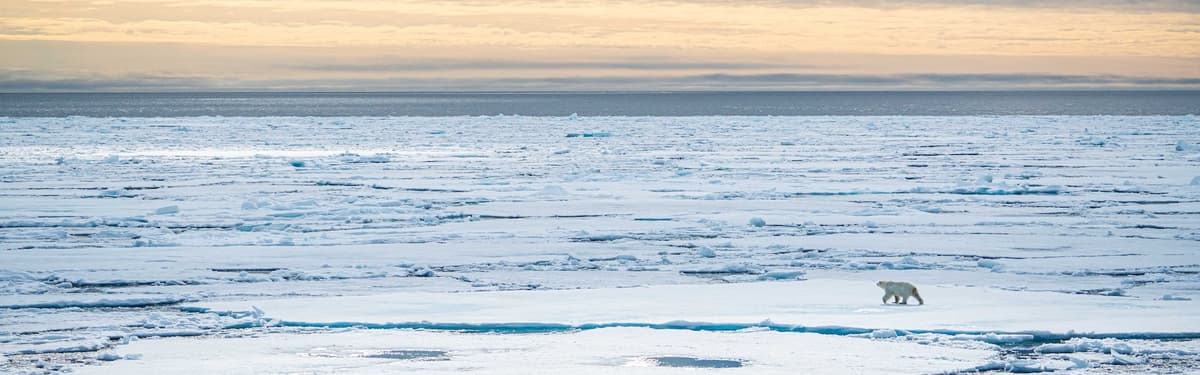 Spitsbergen Highlights: A Exploration of the High Arctic & the Polar Bear Kingdom