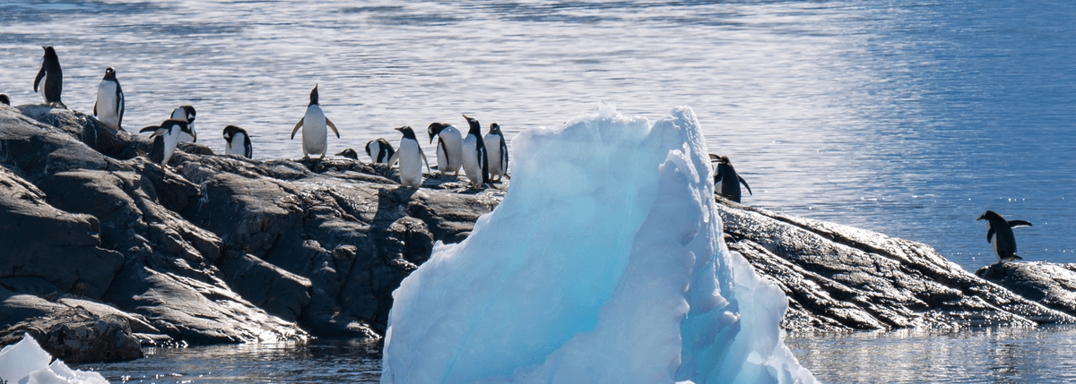 Explore the Antarctica Peninsula