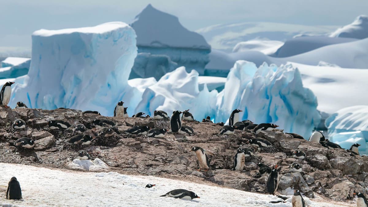 Exploring the Last Continent