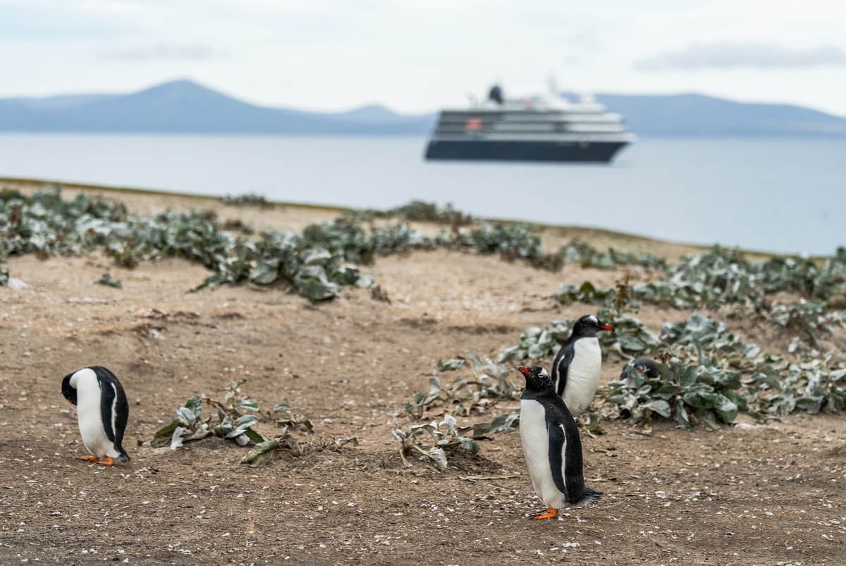 Antarctic & Falklands Adventure