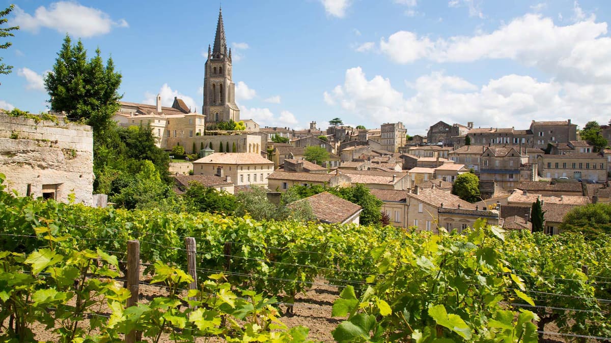 Vineyards To Castles