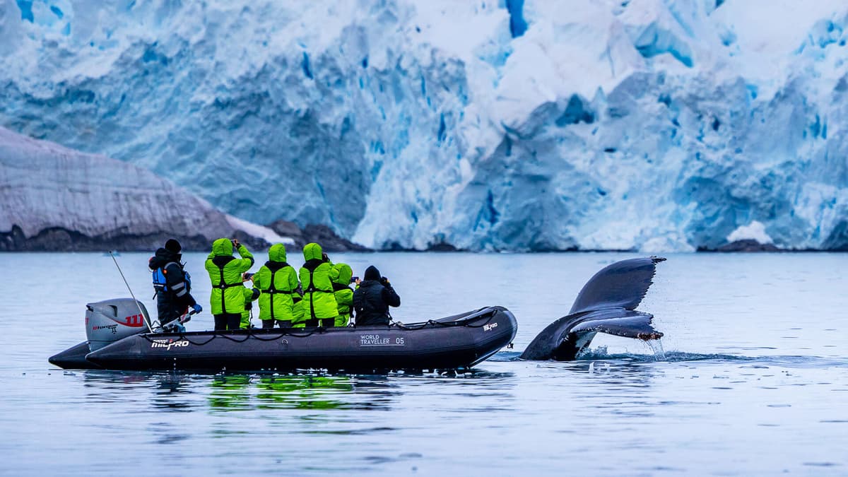 Antarctic Discovery