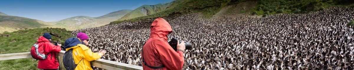 Galapagos of the Southern Ocean