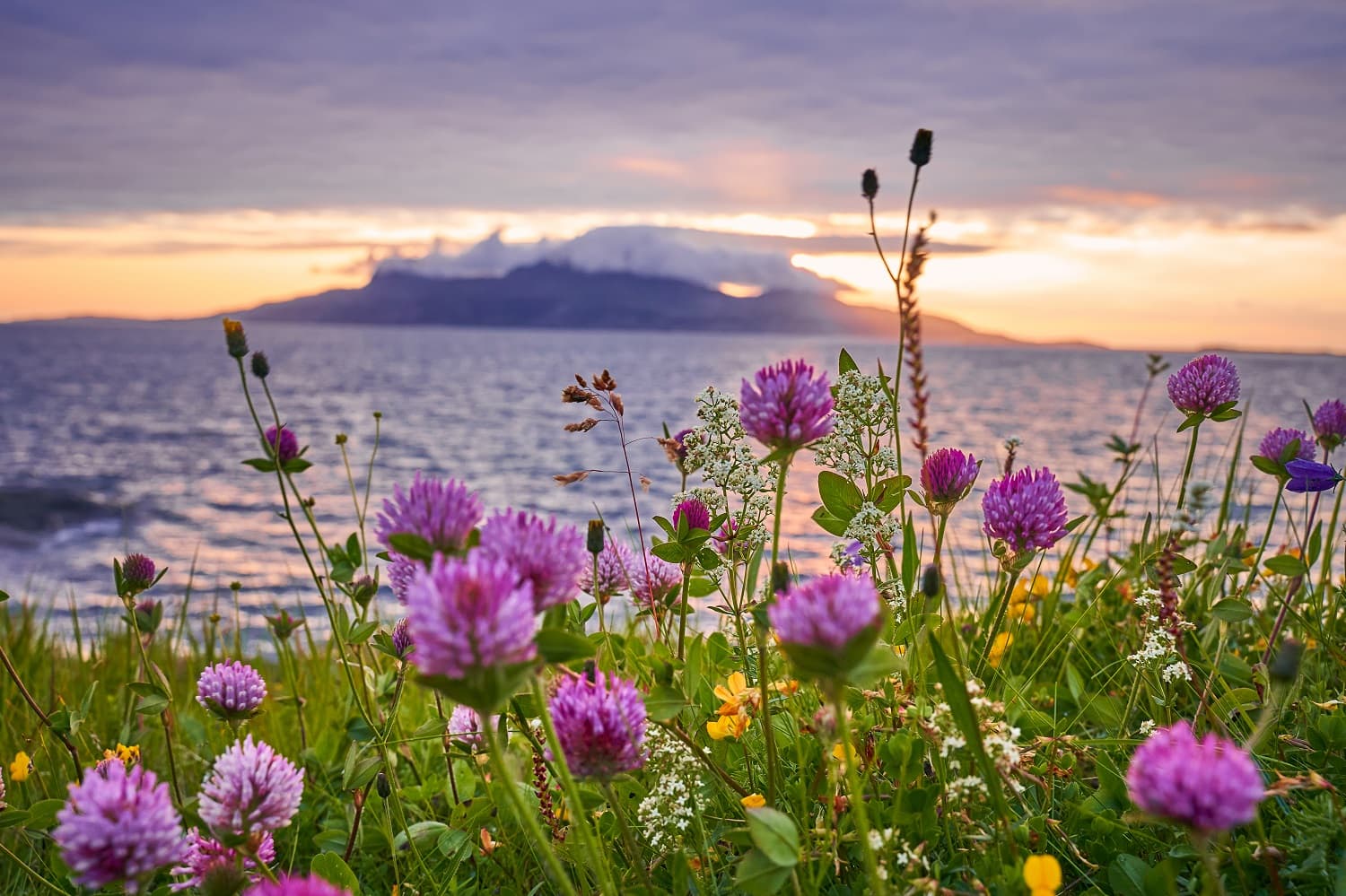 Spring in Norway Photo Credit: shutterstock