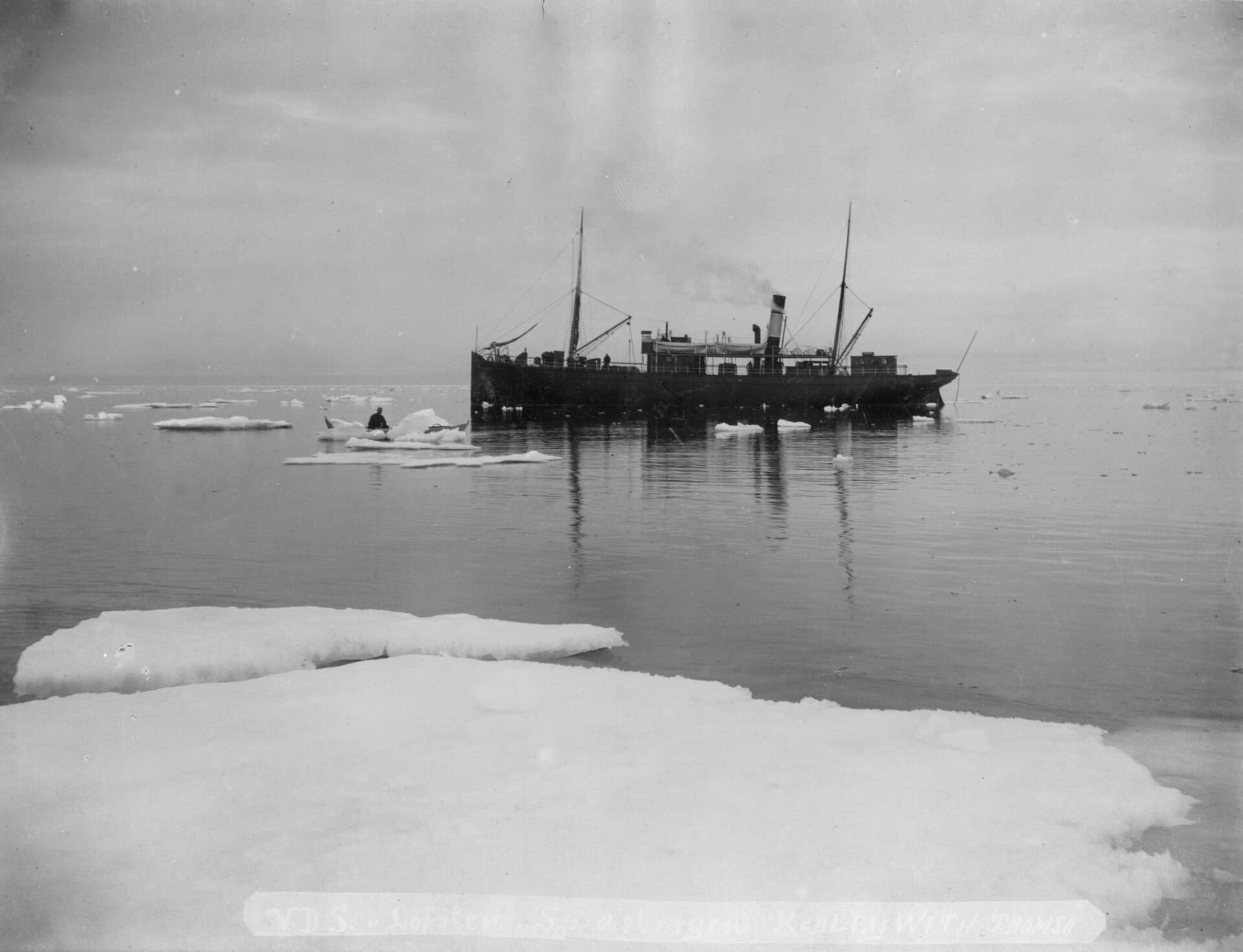DS Lofoten Svalbard HGR 164233