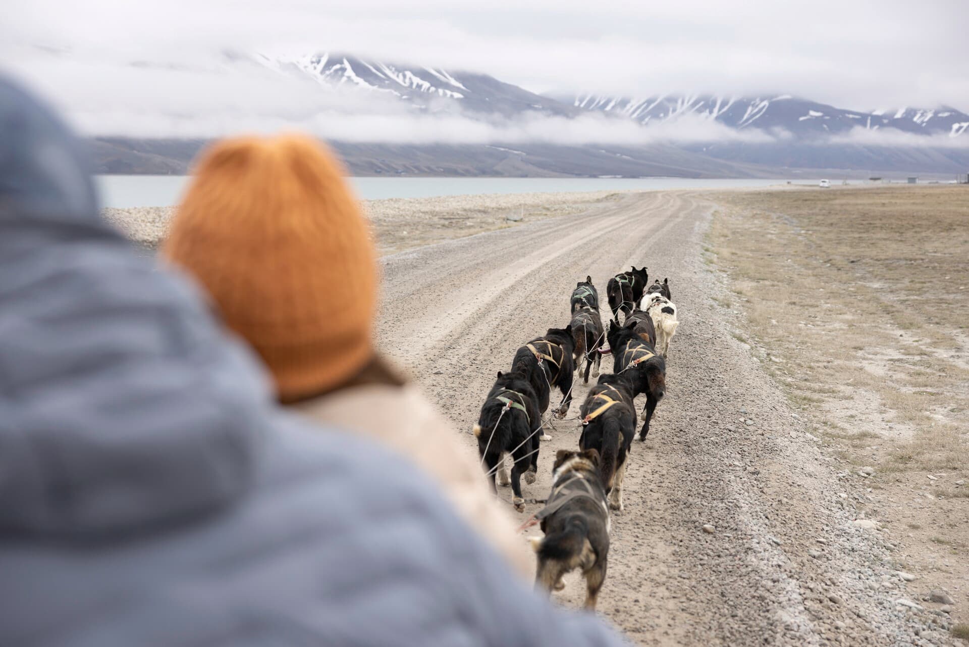 Opt to join our dogsledding excursion to explore Svalbard