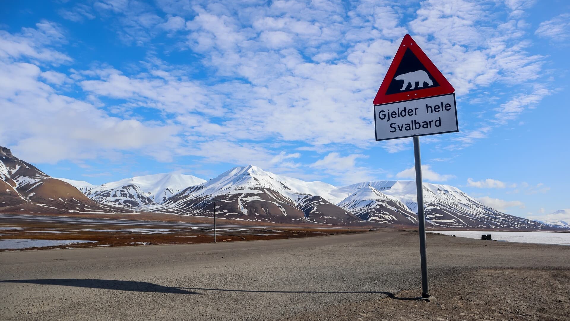Nature and wildlife in Svalbard | Learn more about Arctic wildlife