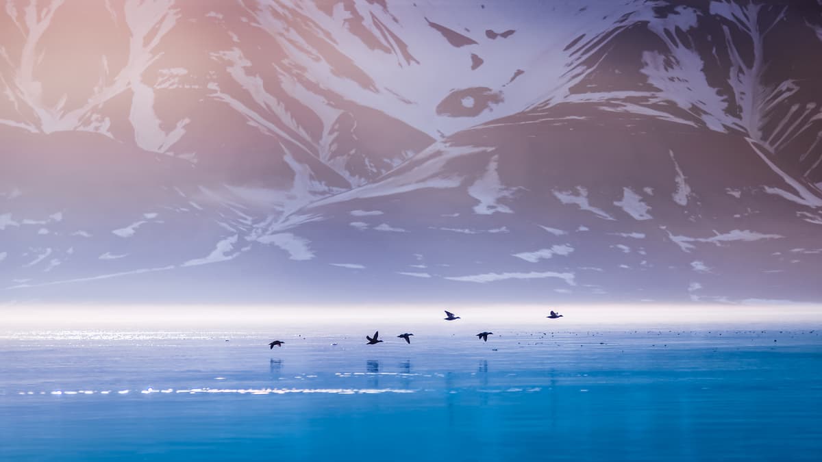 Northern Delights: Svalbard and Arctic Norway