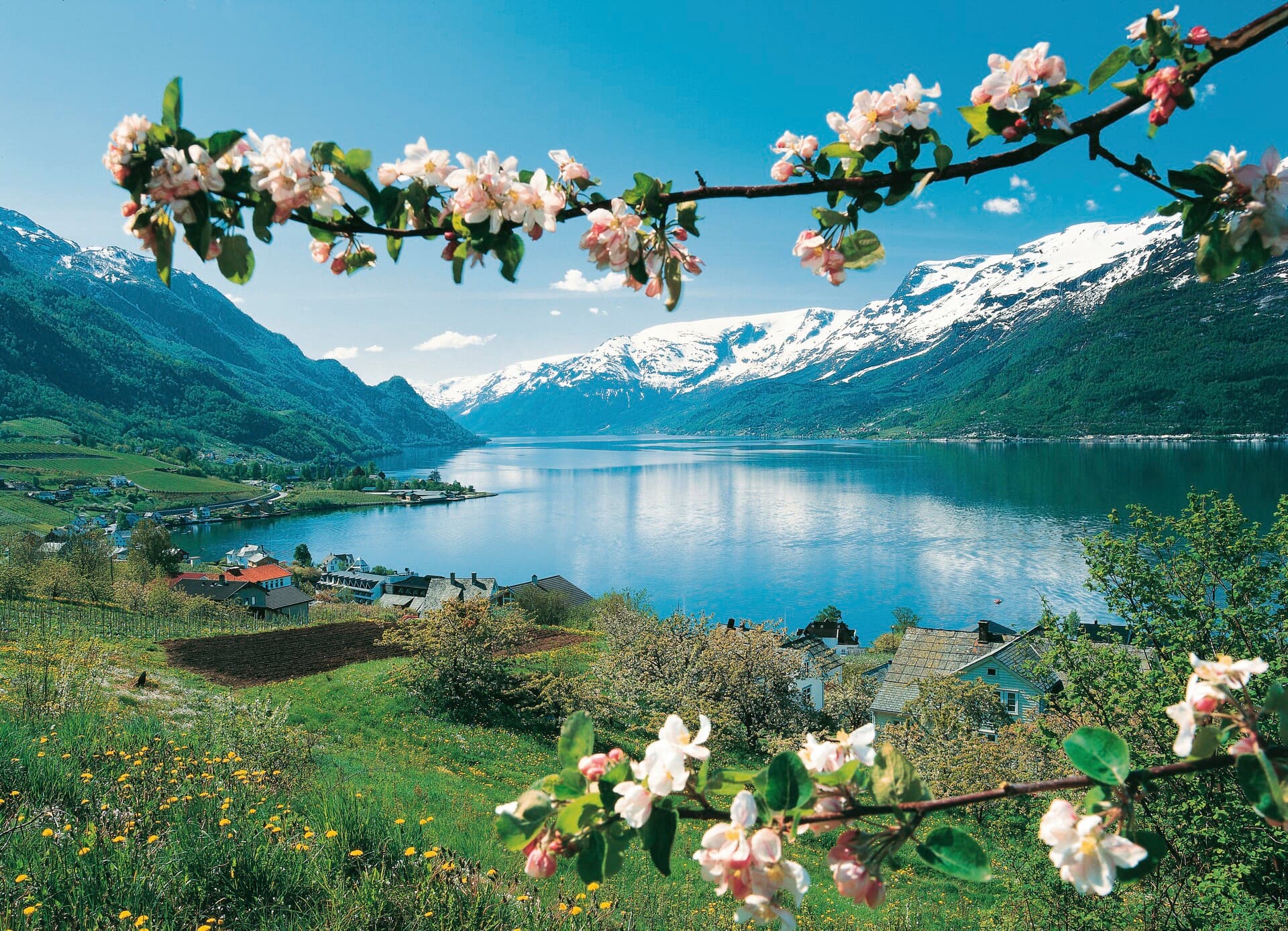 Hardangerfjord HGR 07742 1920