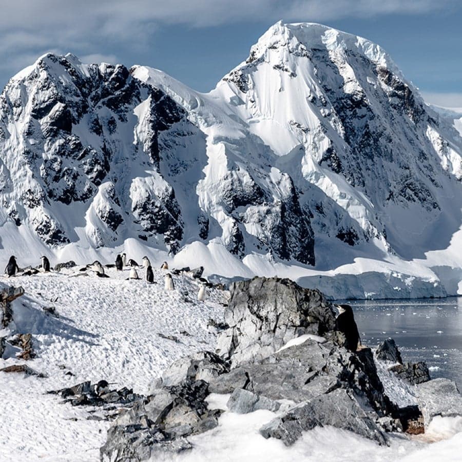 Iconic Antarctica Expedition Cruise – The Explorer’s Route