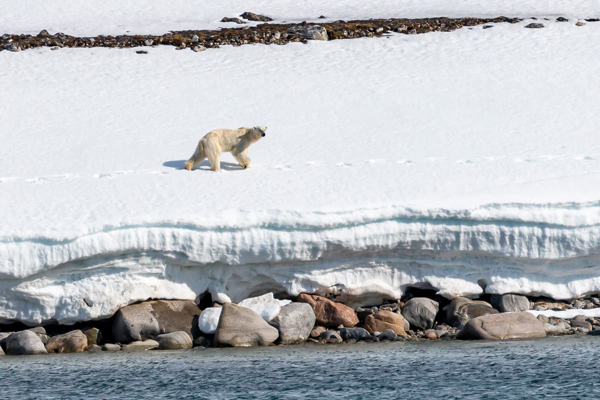 Svalbard in Spring