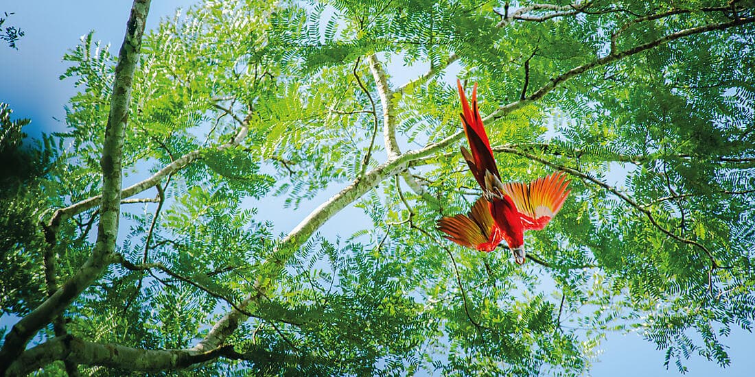 Secrets of Central America