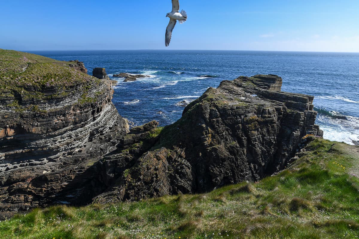 Wild Scotland and mythical islands