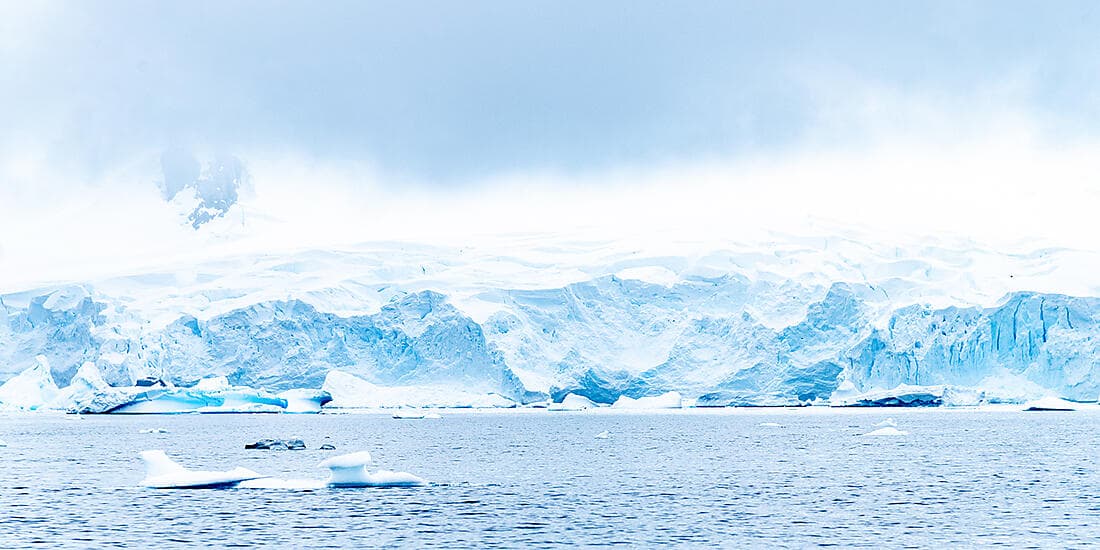 Expedition to New Zealand’s Subantarctic Islands