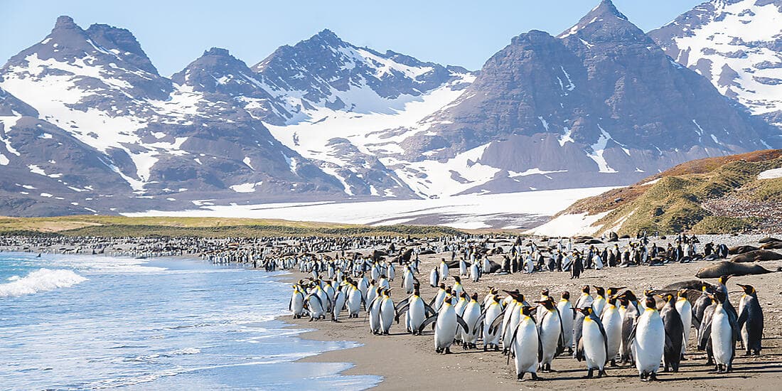 Antarctica Cruise with Woods Hole Oceanographic Institute I