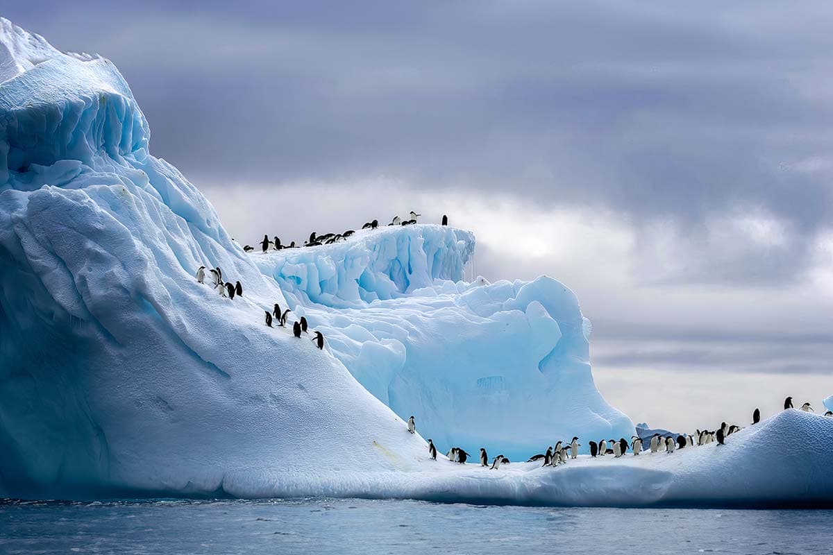 Christmas Season in Antarctica