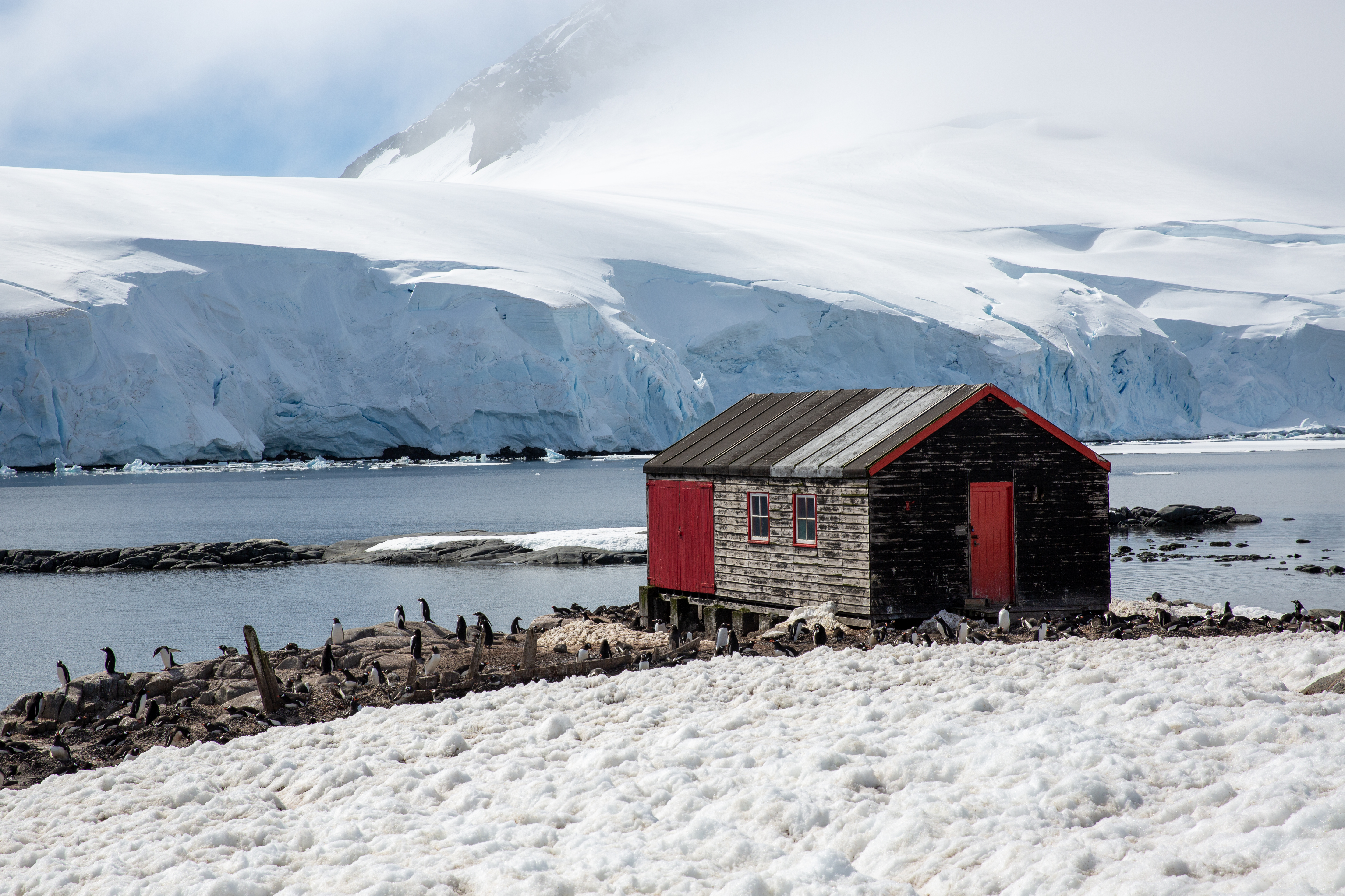 Antarctic Wonders: roundtrip cruise from Ushuaia