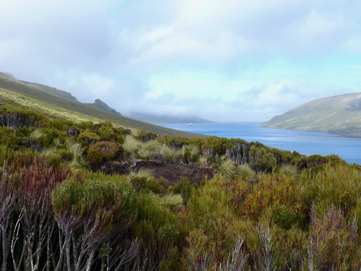 New Zealand in Depth