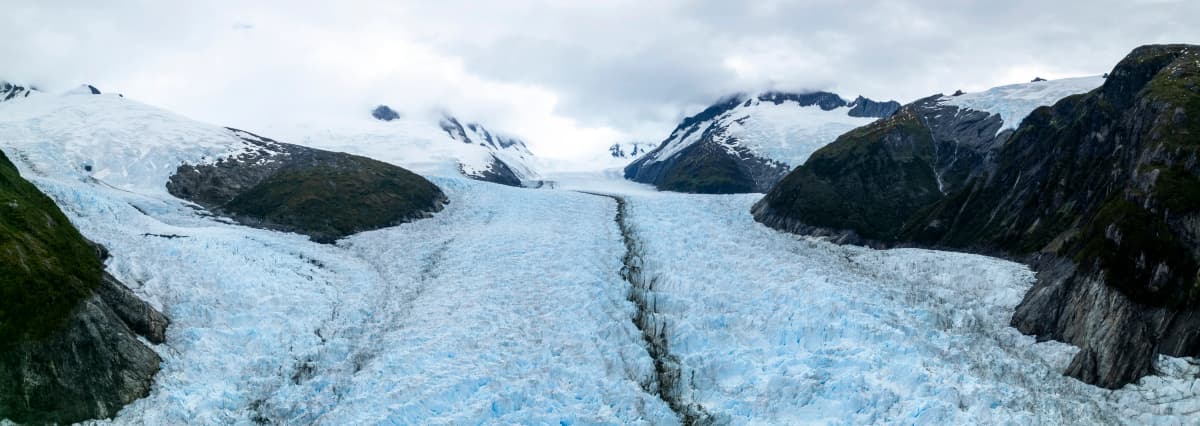 Patagonia and the Wild Atlantic: Cruise to the Falkland Islands