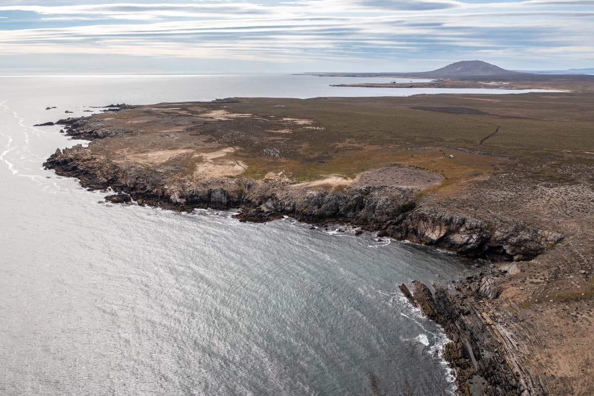 In Shackleton's Footsteps: Falklands, South Georgia and the Antarctic Peninsula